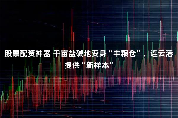 股票配资神器 千亩盐碱地变身“丰粮仓”，连云港提供“新样本”